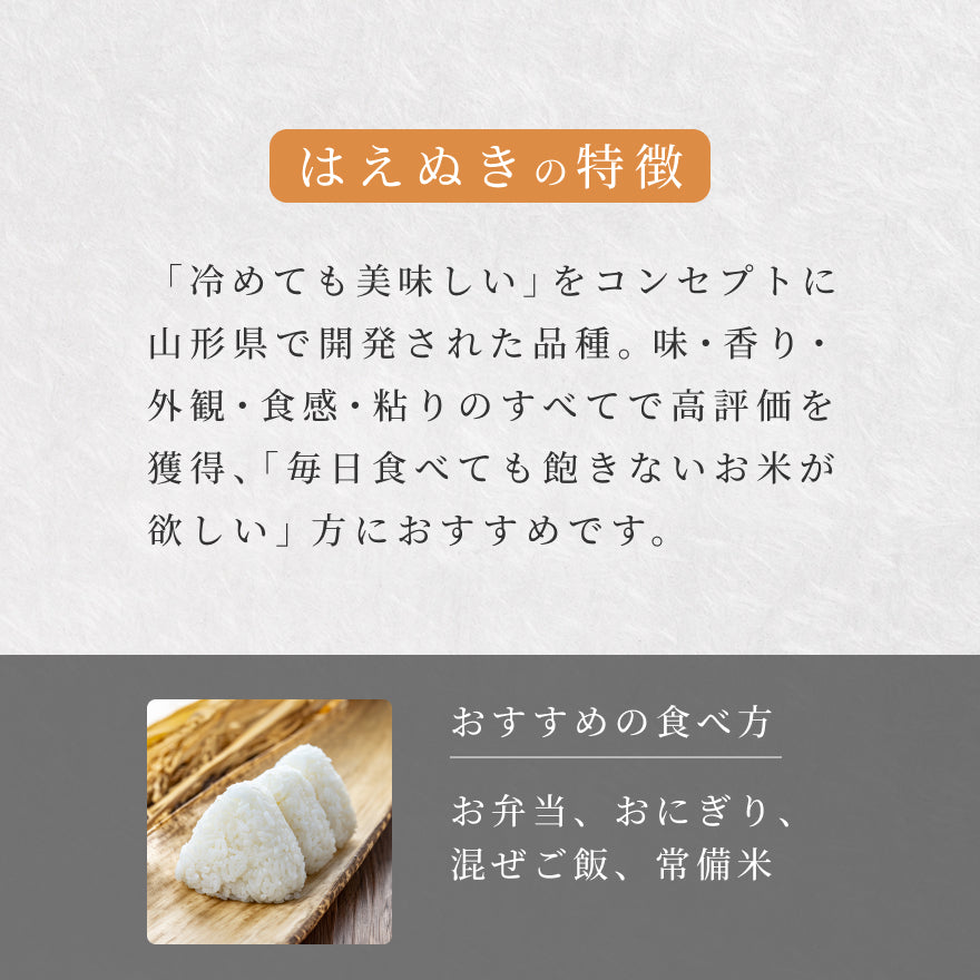 【定期便】利休宝園 はえぬき「利休の光」
