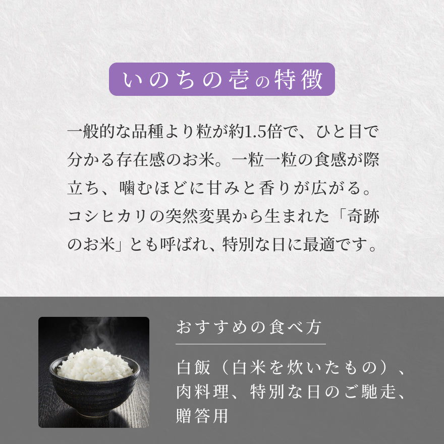【30%OFF／数量限定】利休宝園の訳あり米 5kg（品種おまかせ）